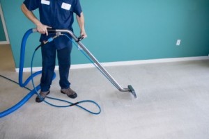 carpet cleaning albany creek